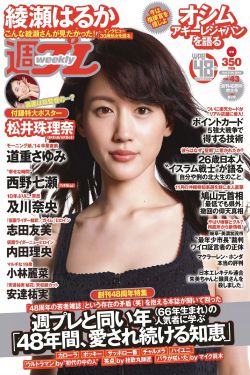李诗涵和王渊的小说